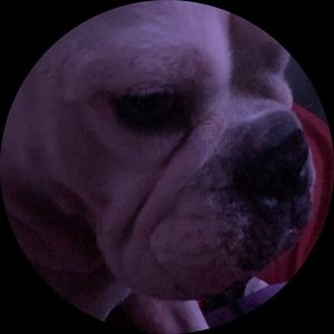 Meet your Posher, Carla